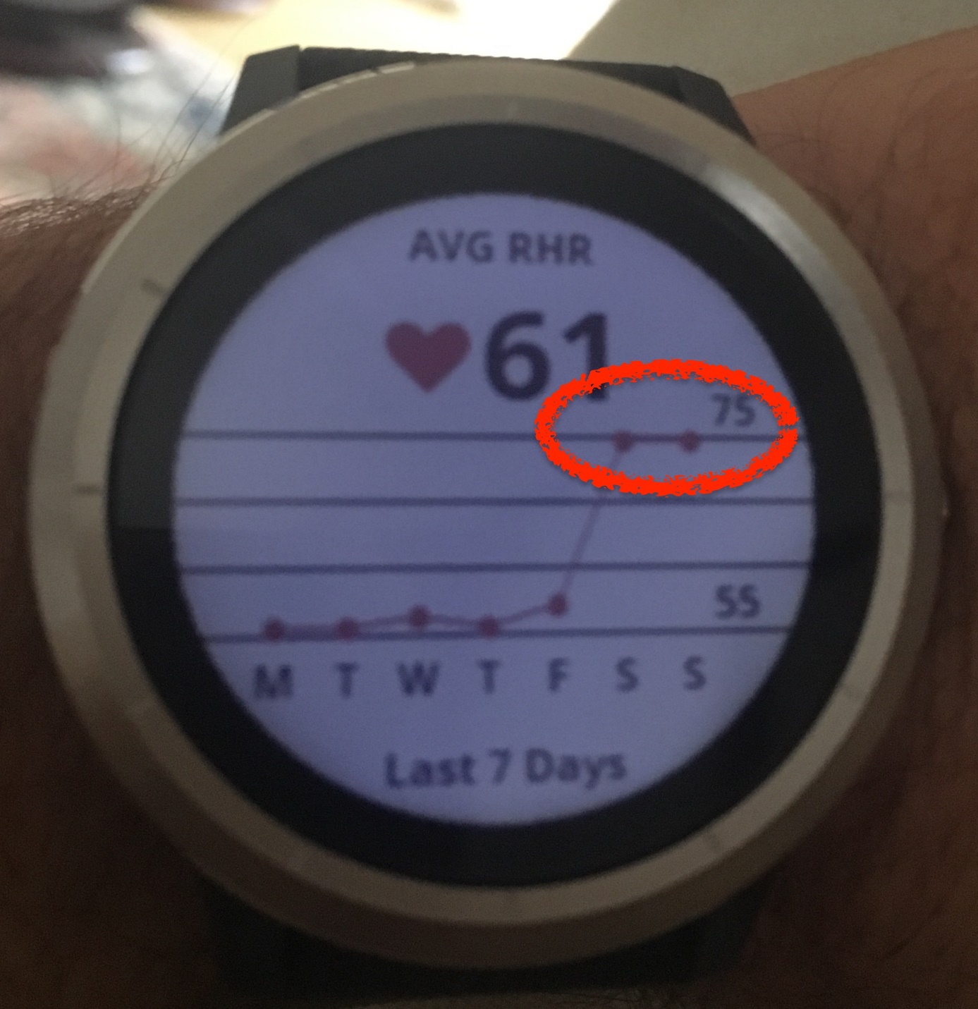 garmin vivoactive 3 resting heart rate cheap online